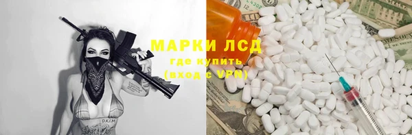 прущие грибы Богородск