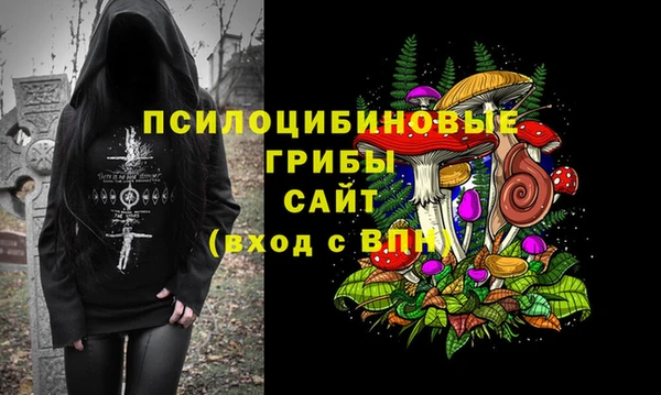 прущие грибы Богородск