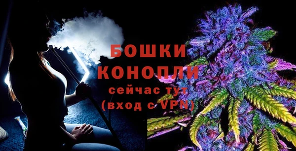 прущие грибы Богородск