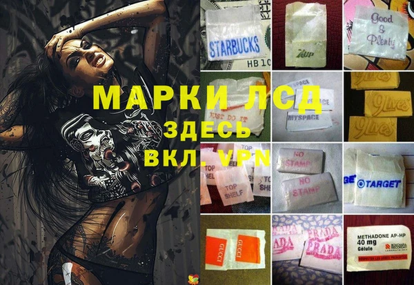 прущие грибы Богородск