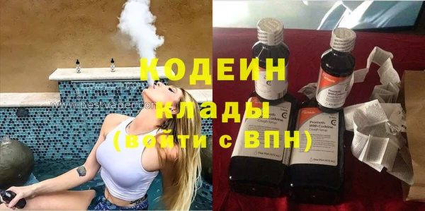 прущие грибы Богородск
