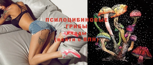 прущие грибы Богородск