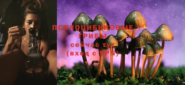 2c-b Богородицк