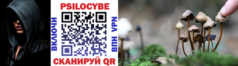 Псилоцибиновые грибы ЛСД  Купить закладки  Михайлов 